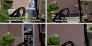Kermit shows us how he deals with this crazy world…