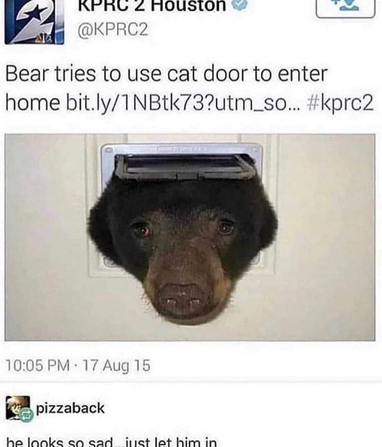 Let the right bear in.
