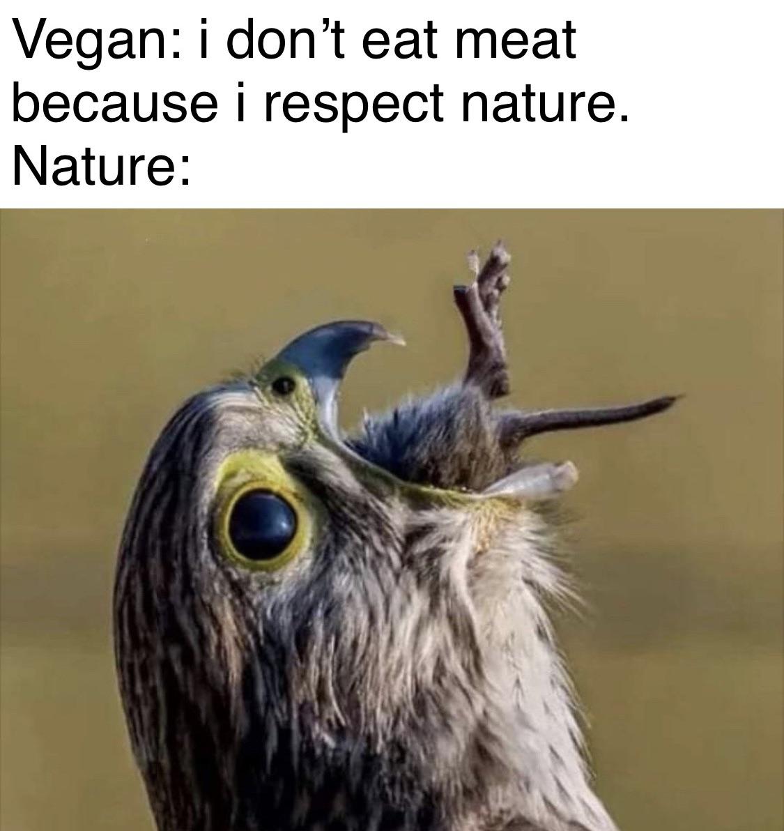 I reject your nature