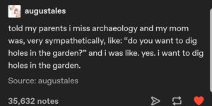 Archaeology isn’t the same at home…