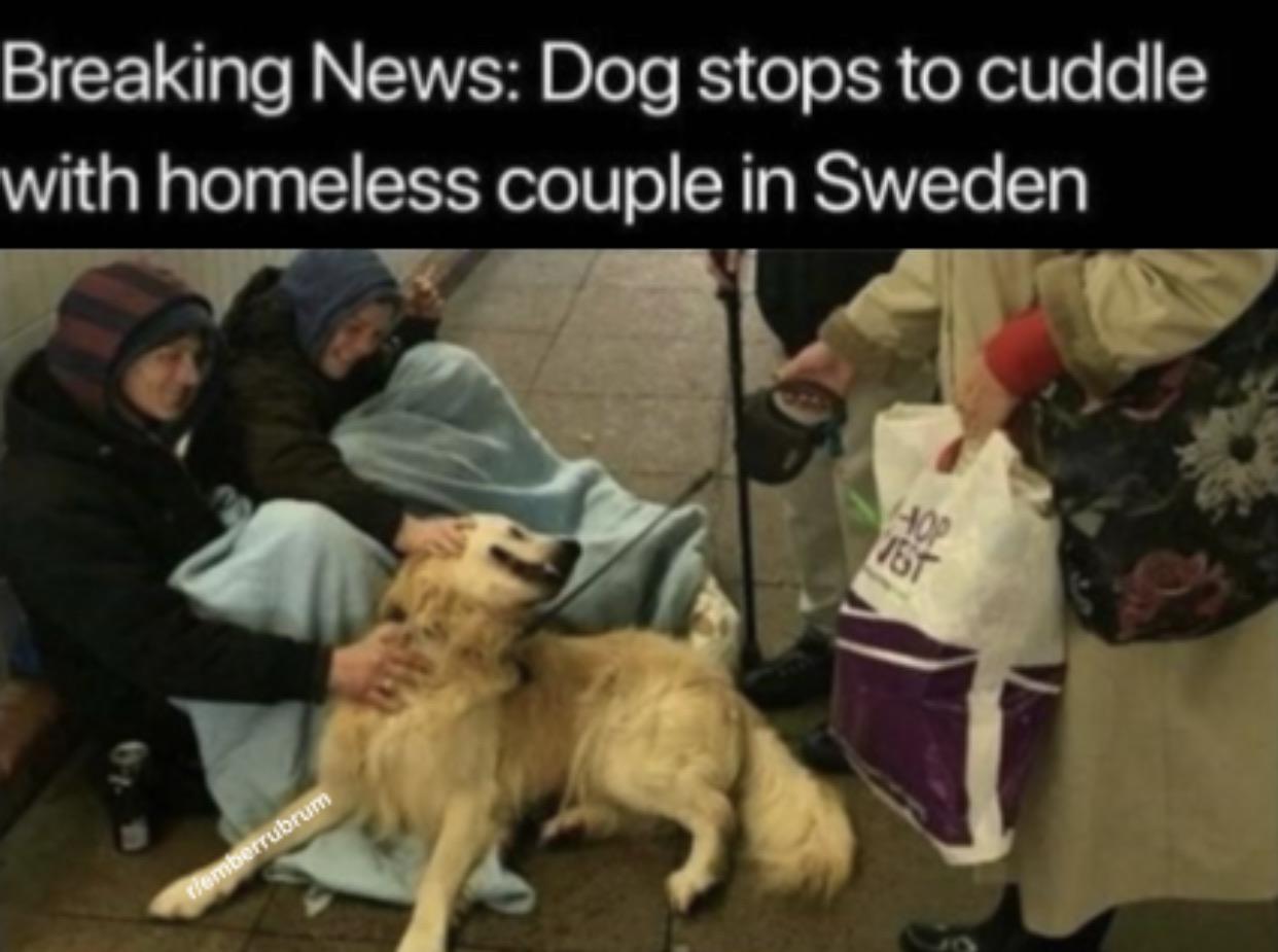 Most people deserve $doge cuddles.