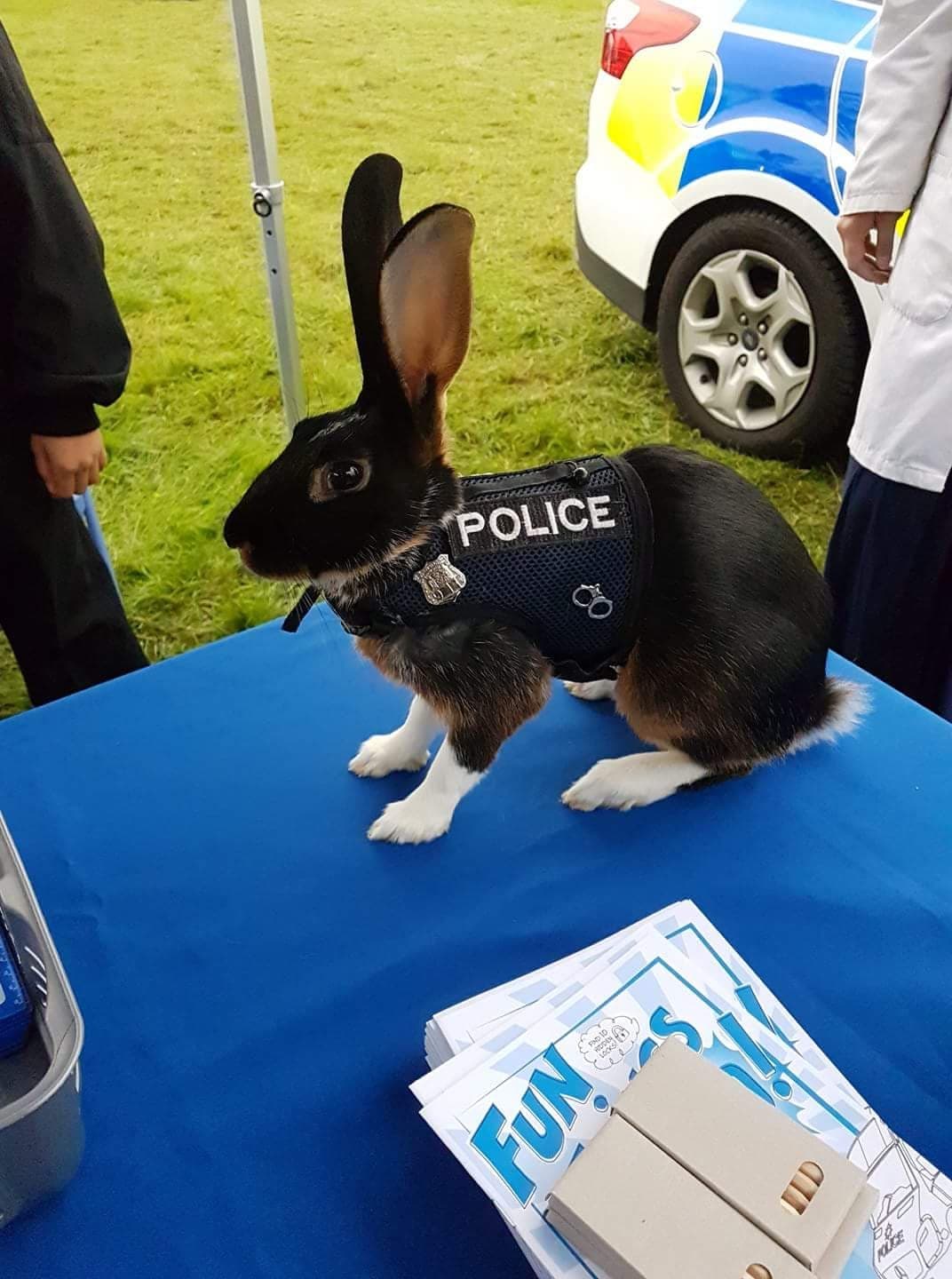 Police bun has hops.