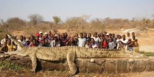 A+village+on+the+Niger+River+in+Africa+was+losing+villagers+at+such+a+rapid+rate+they+had+to+call+in+the+Army+to+hunt+down+the+culprit%3A+a+22-foot%2C+2500-pound+crocodile.