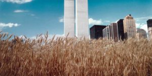 A wheat field in the middle of Manhattan, 1982.