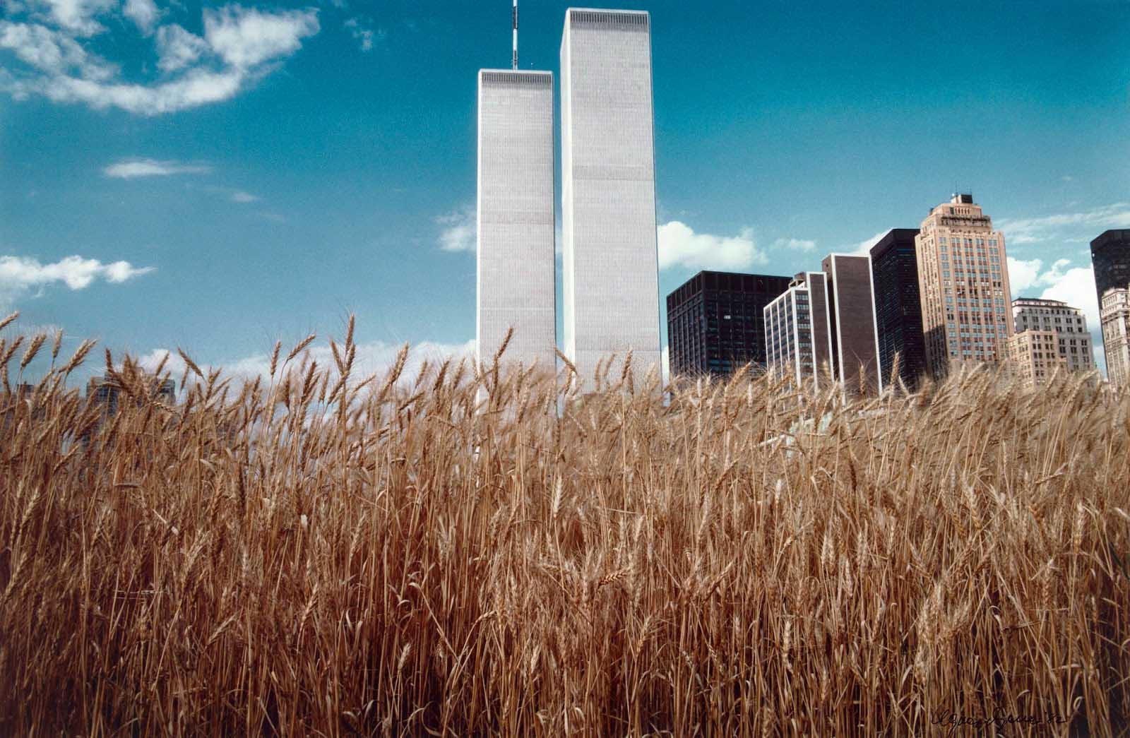 A wheat field in the middle of Manhattan, 1982.