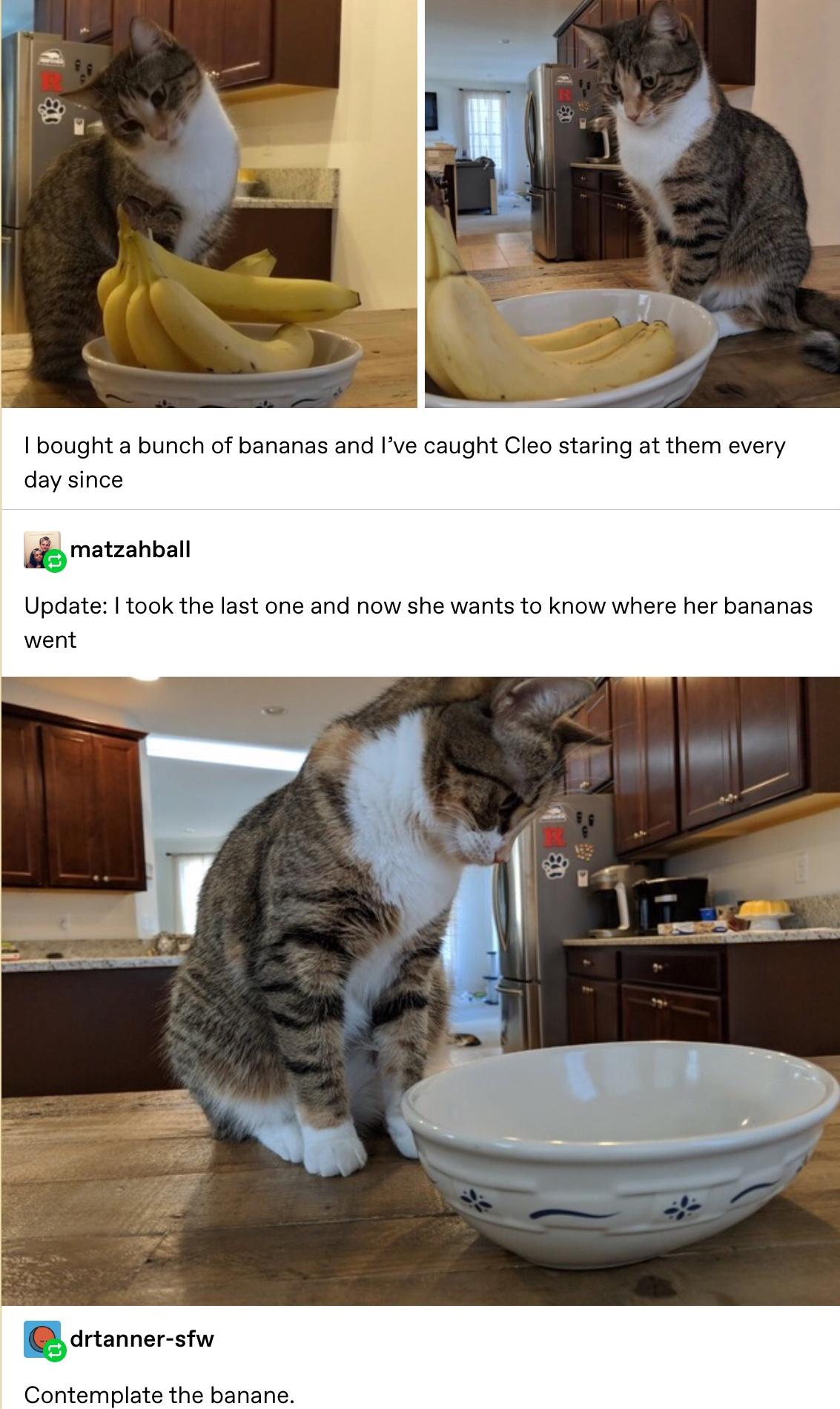 Where is bananas?