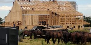 The Amish raising a barn; circa 2017