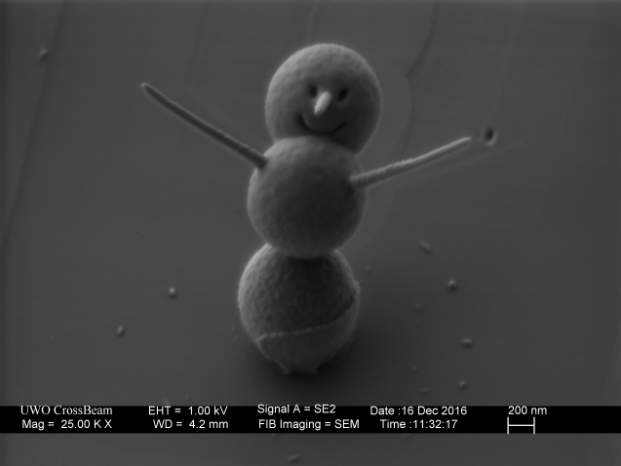 The world's smallest snowman - 3 microns tall and 1 micron wide.