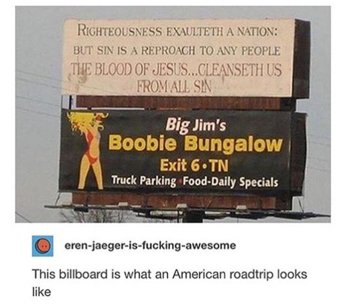 America in a picture