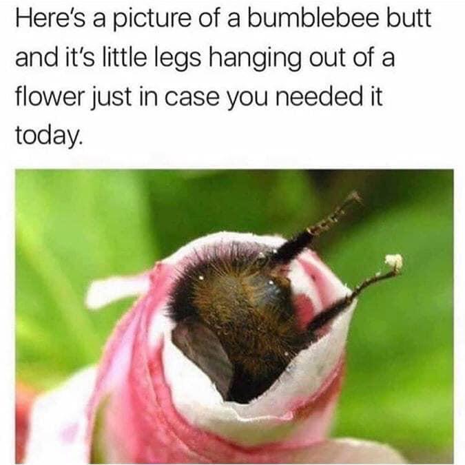 Bumble can get it.