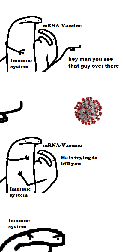 How the mRNA vaccine works, basically. 