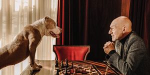 Sir Patrick Stewart playing a very serious game of chess with his foster puppo.