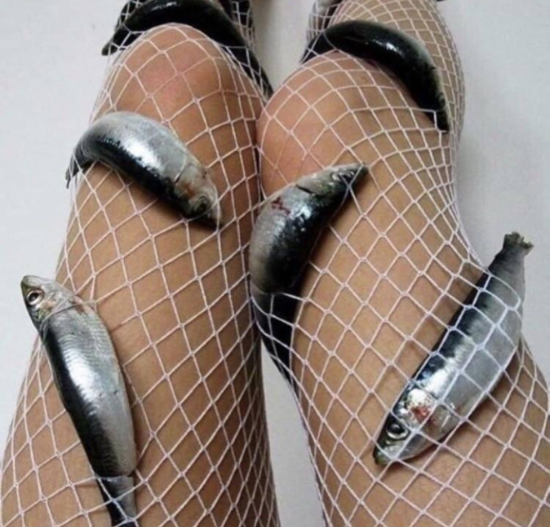Fish Net Stalkings