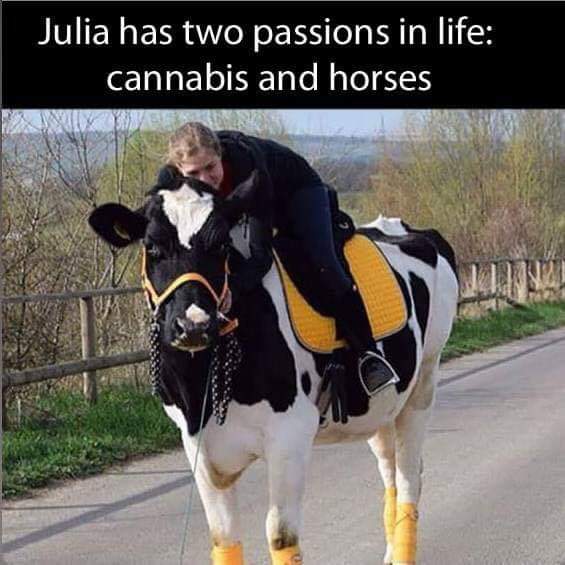 Julia rides the hors into her own personal battles. 