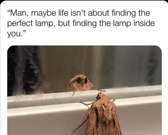 Light the fire inside ya self, Moth Boy.