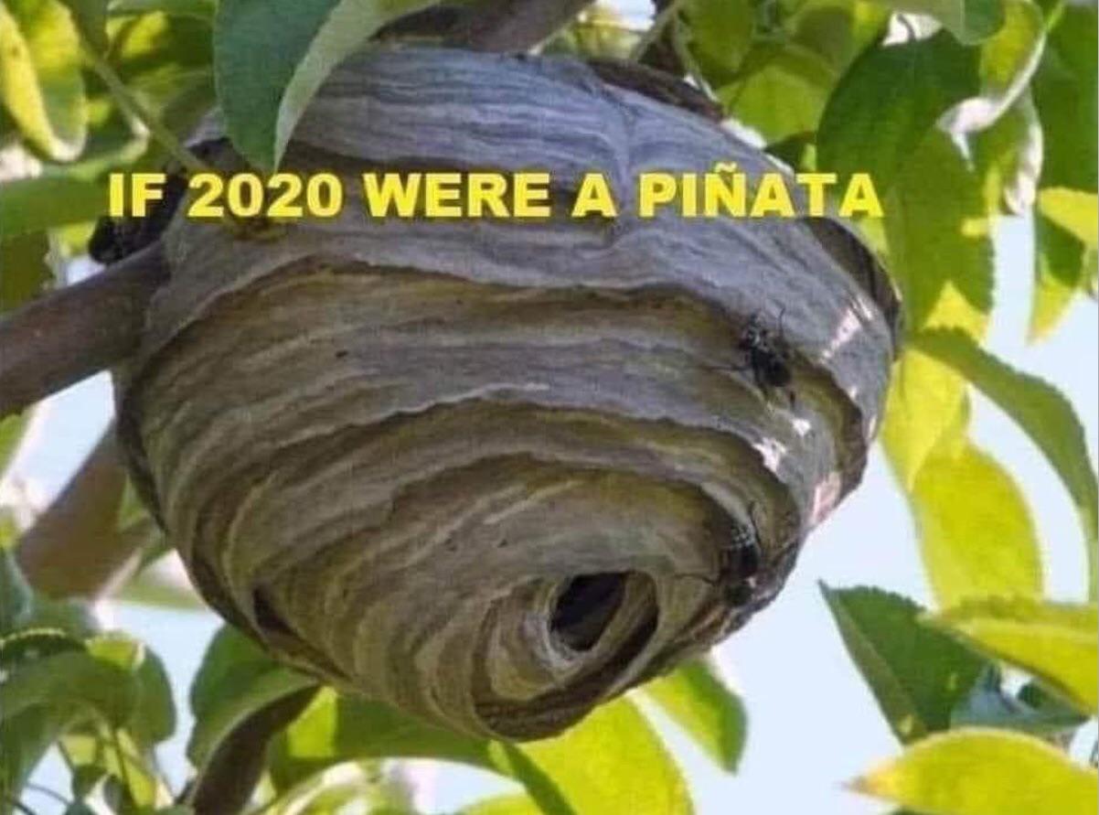 2020 is buzz'in ðŸ