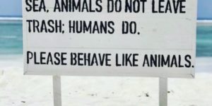 Strive to be more animal-y.