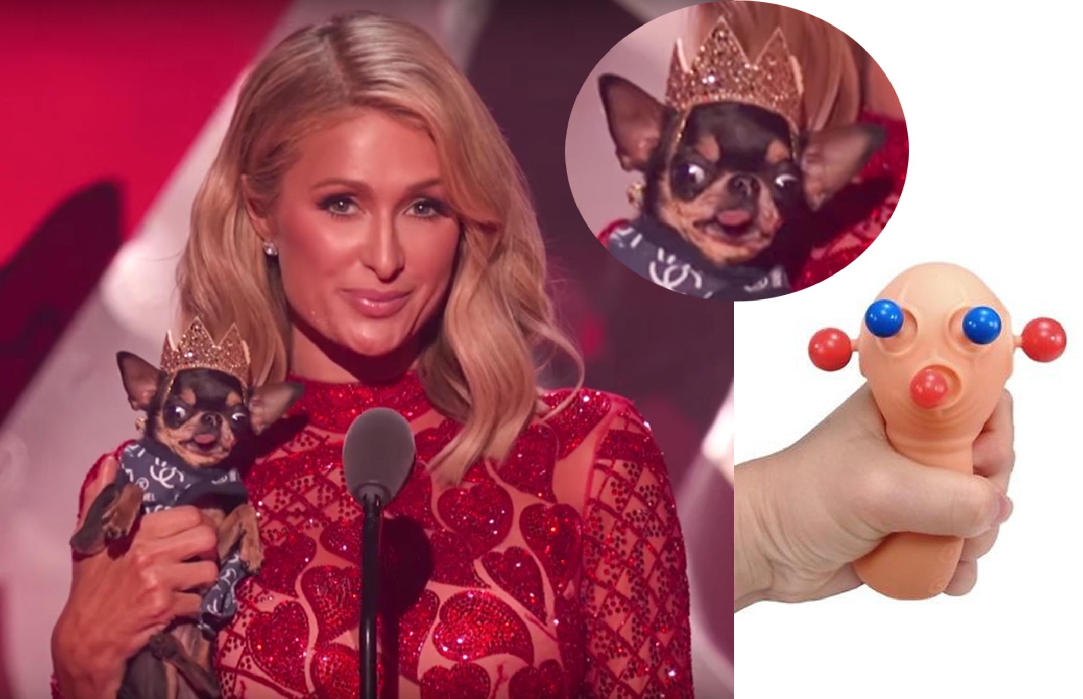 Paris Hilton squeezing her dog.