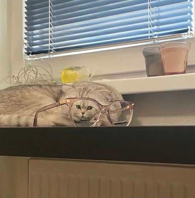good mornling fren.