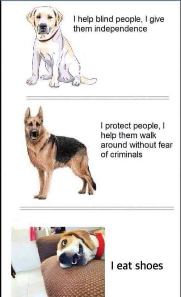 My dog is one of these.