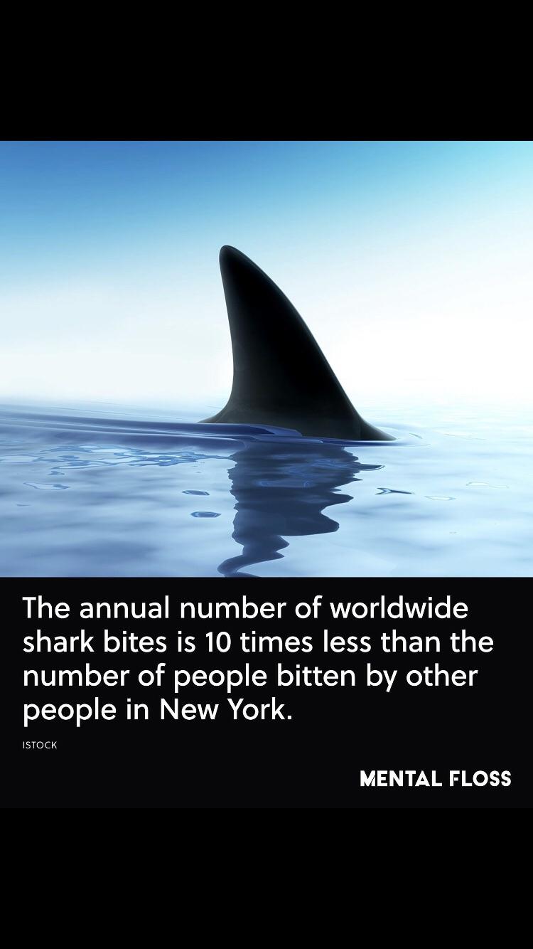 Sharks aren't that bad