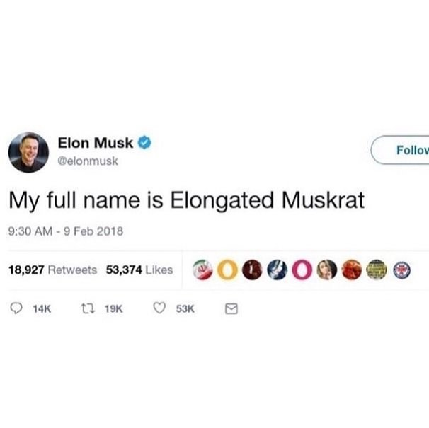 Get Musked.