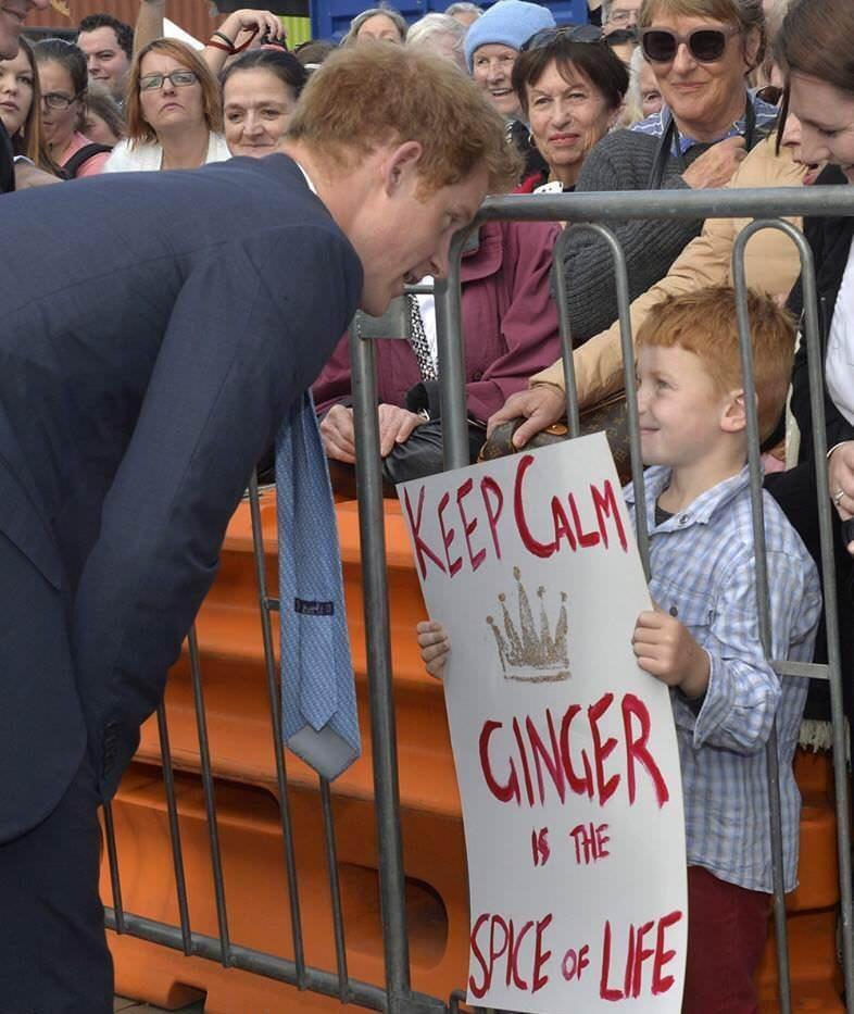 Prince Harry meet a fellow ginger