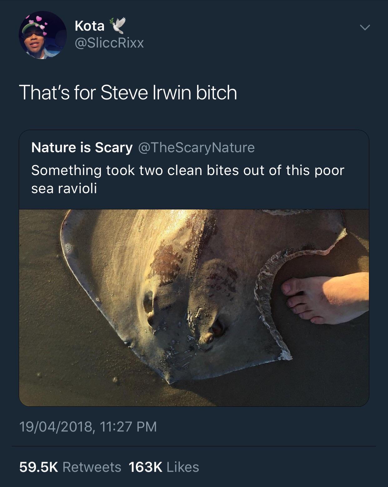 Sea ravioli
