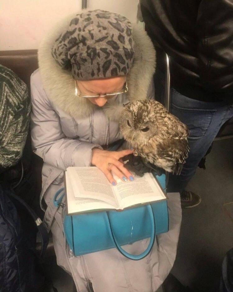 Owld lady on the subway...
