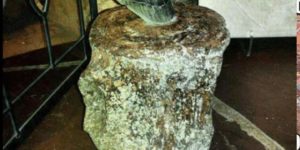 Megalodon tooth stuck in a whale vertebrae.this is the most badass fossil in existence