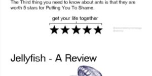 Animal Reviews You Can Use!