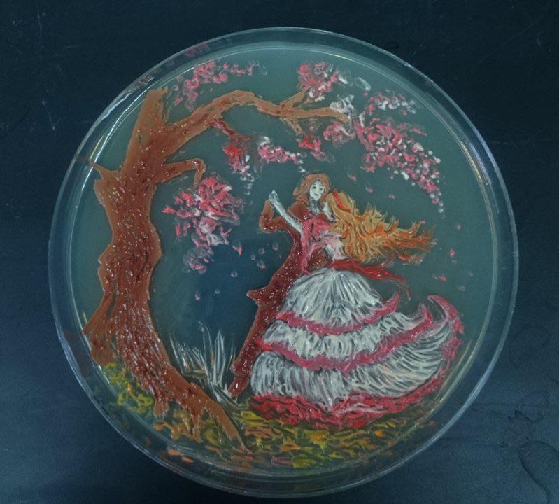 Petri dish bacterial art.