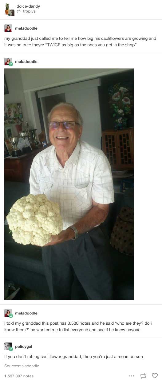 Cauliflower Granddad is Wholesome