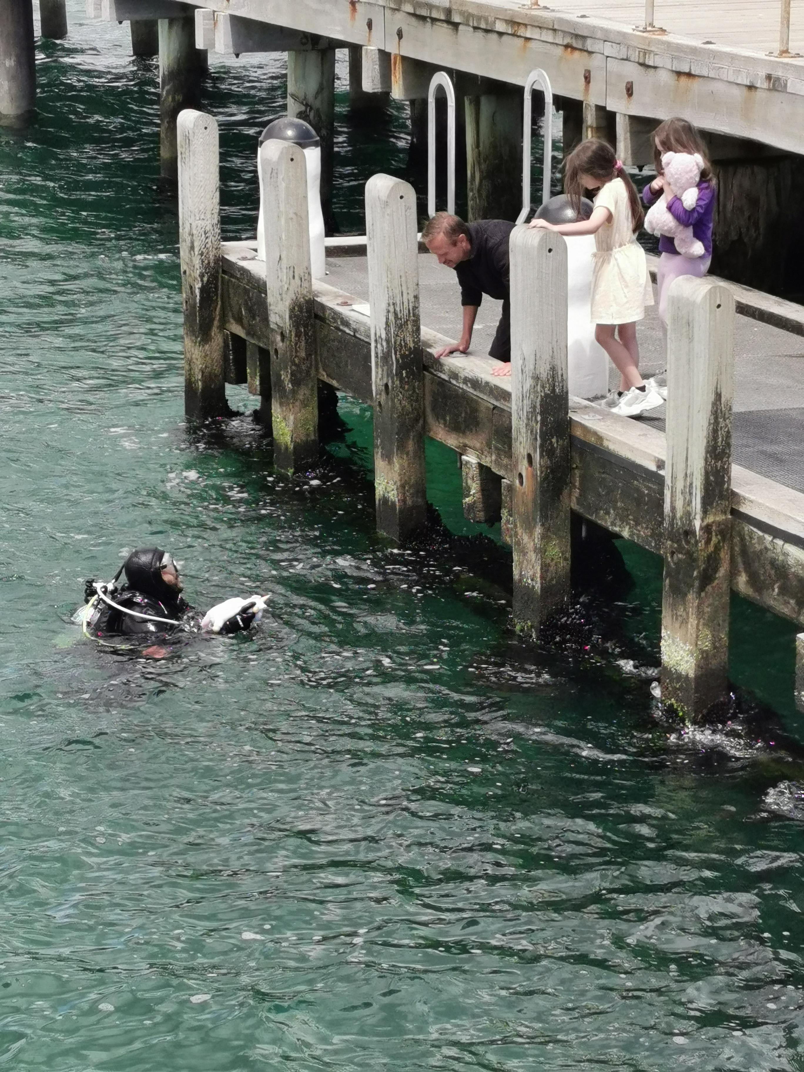 Scuba diver rescuing drowning unicorn.