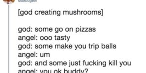 And then God made mushrooms.