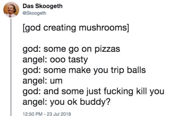 And then God made mushrooms.