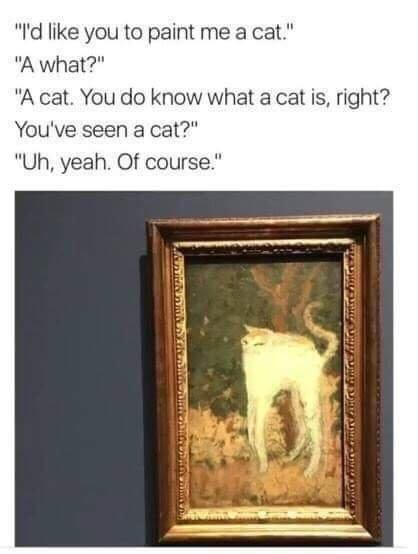 I've seen a cat before