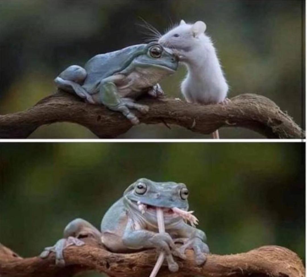 Friends or... hey man WTF!