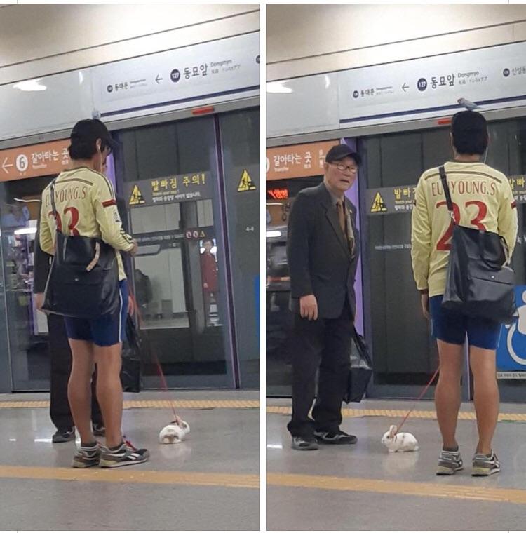 Meanwhile in Korea