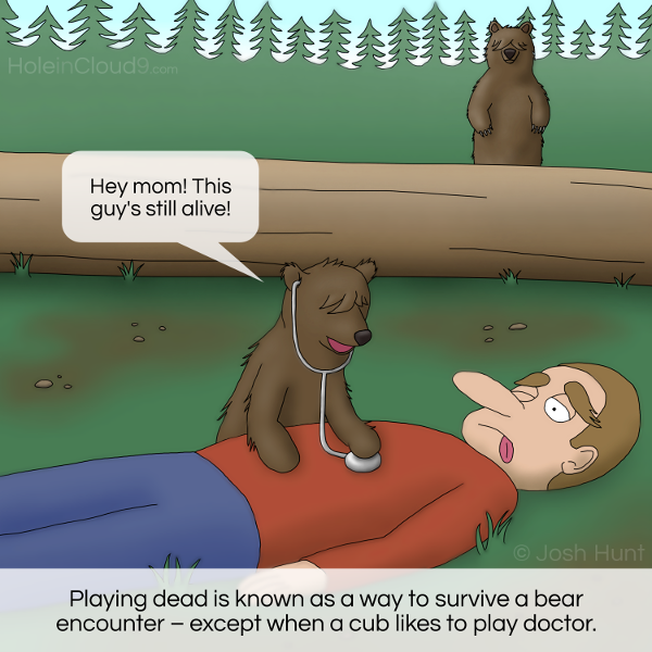 Playing dead with bears...