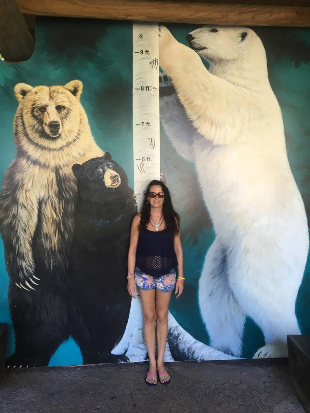 Bears for scale.