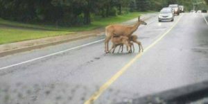 This whole breastfeeding in public thing is getting out of control