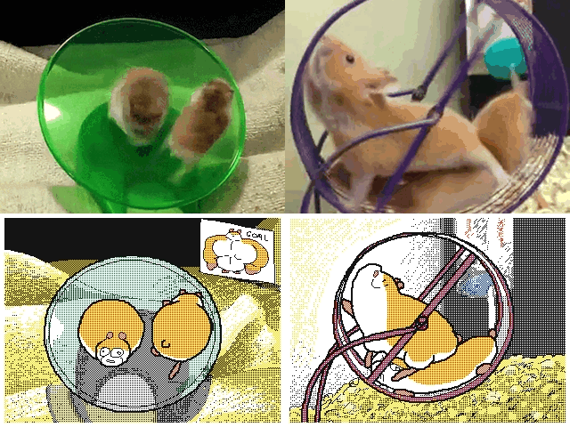 Hamsters are silly.