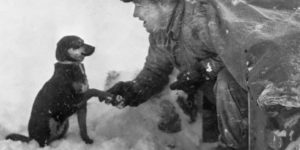 War pupper meets enemy soldier, circa 1942