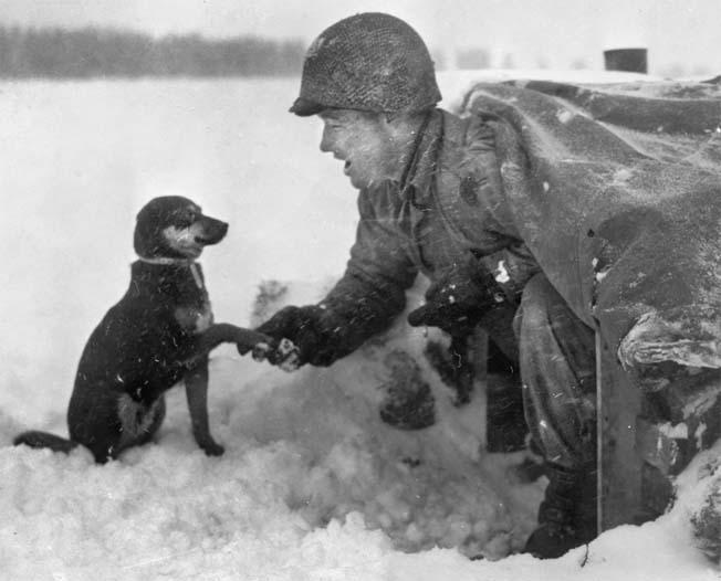 War pupper meets enemy soldier, circa 1942