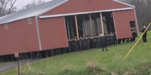 A gaggle of Amish men shifting a barn.