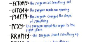 Surgical terms guide