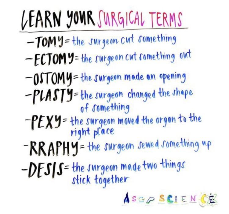 Surgical terms guide