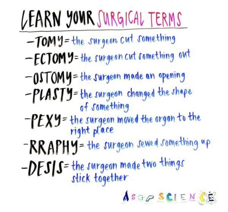 Surgical terms guide