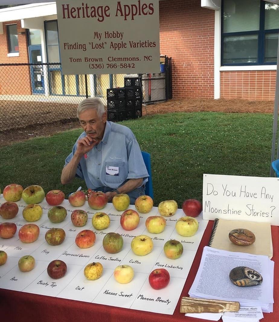 This man's collection of lost apples.
